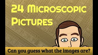 Famous Can you guess what the Microscopic Images are? Profile