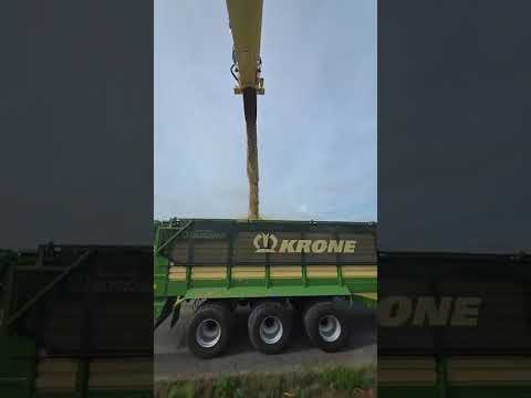 Krone Forager's First Maize Harvest: Start of the Harvest & Biogas! 🌽🚜