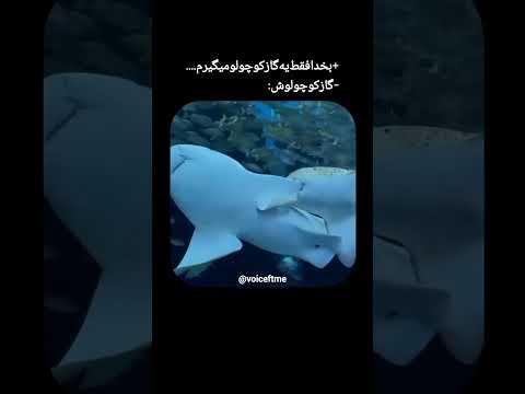 رفیق  پارتنر رل  عشق عاشقانه دوبله فان طنز