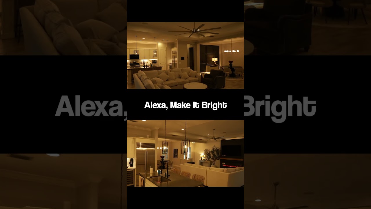 TFW you get your Alexa routines dialed in