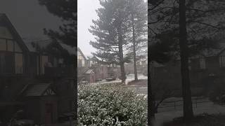 #snowflakes in Nashua USA