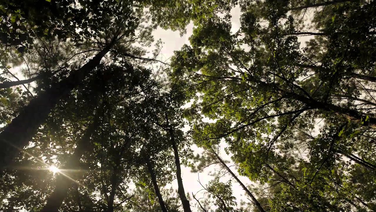 Bilal's Eat Smart, Move More, Weigh Less Testimonial