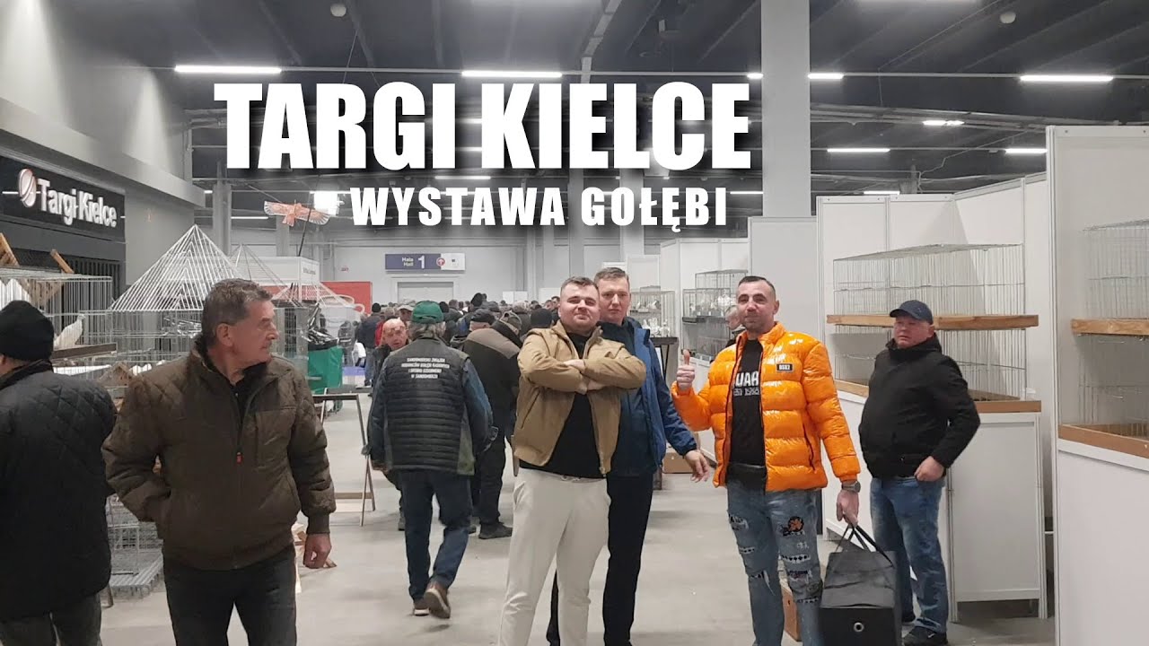 Wystawa gołębi Kielce cz.1 2025 | Rynek gołębi