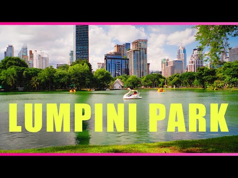 Vidéo: Parc Lumpini de Bangkok : le guide complet