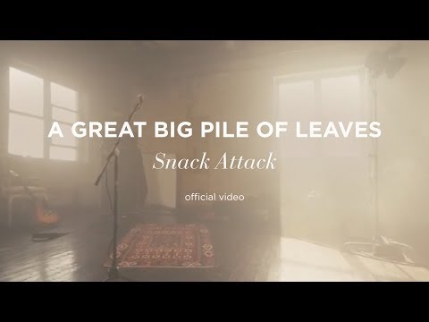 A Great Big Pile of Leaves - Snack Attack (Official Music Video)