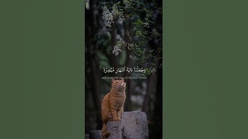 اكتب شيء تؤجر عليه 🖤🎧 #القارئ ياسر الدوسري