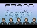 Can you stand the rain by new edition harmony tutorial