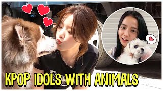 Kpop Idols With Animals Cute and Funny Moments
