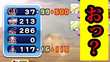サクスペ 滝本 サクスペ 滝本