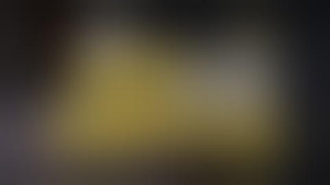 Do Not Feed the Monkeys (Nintendo Switch) Demo Gameplay - 18 Minutes