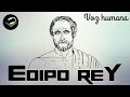 EDIPO REY AUDIOLIBRO COMPLETO EN ESPAÑOL | SOFOCLES