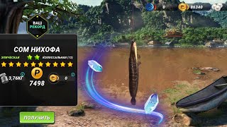 картинка: Новая Рыба Сом Нихофа, Река Меконг, Серия Побед,Fishing Clash,  фишинг клеш