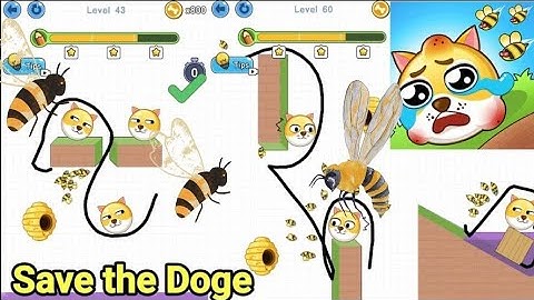 Save the Doge Answers | Level 76-100 | Part 4 | 99.99% People Cannot Save The Dog (IMPOSSIBLE)