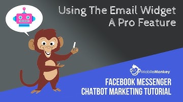 Email Pro Widget