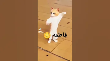 اسم فاطمه فاطمه فاطمه 