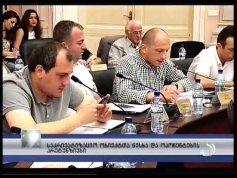 საპრივატიზაციო ობიექტთა ნუსხა და ოპონენტების პრეტენზიები