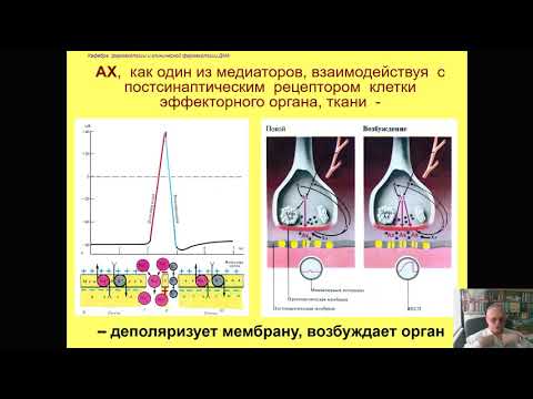 Бейне: Неостигмин ацетилхолинэстеразаны қалай тежейді?