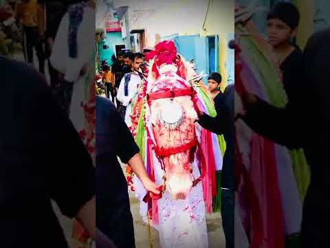 Duldul Imam Hussain