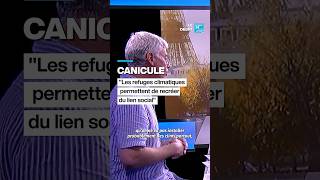 Canicule : "les refuges climatiques permettent de recréer du lien social" • FRANCE 24
