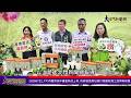 20260722 #大內酪梨洗沐禮盒新品上市 市府協助新包裝打造酪梨加工品牌新形象—大北門新聞網