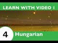 Learn Hungarian with Video - Hungarian Vocabulary for Insects Doesnt Have to Bug You Any Longer!