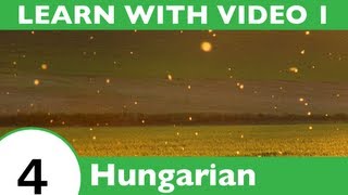 ⁣Learn Hungarian with Video - Hungarian Vocabulary for Insects Doesn't Have to Bug You Any Longe