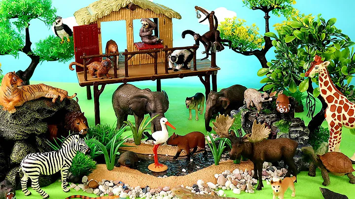 Safari Dioramas for Wild Animal Figurines - Learn Animal Names