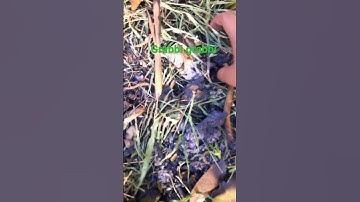 Phone hunting time!! #phone  #nokia #amazing