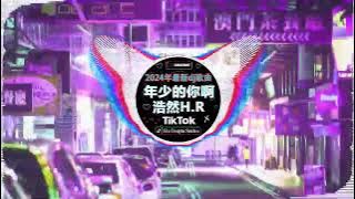 🎧2024最火歌曲DJ Remix【最佳 DJ 混音音乐】💘 抖音神曲2024 🎼 破億中文歌曲排行榜: 是你/LONELY/苦咖啡·唯一/若把你/仗著/王靖雯不胖...