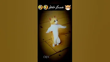ديلر حلويات انتي السبب ياما 