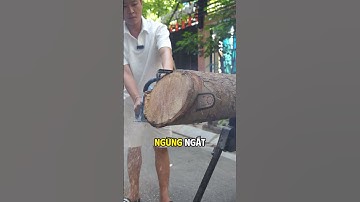 Máy Cưa Xăng 16inch Boshun - Chiều Dài Lam Xích 50cm - Động cơ 2 thì 58cc - Xăng Pha Nhớt Tỉ Lệ 1/25