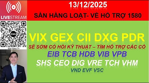 Cổ phiếu VIX GEX CII DXG PDR TÌM HỖ TRỢ CÁC CỔ EIB TCB HDB VIB VPB SHS CEO DIG VRE