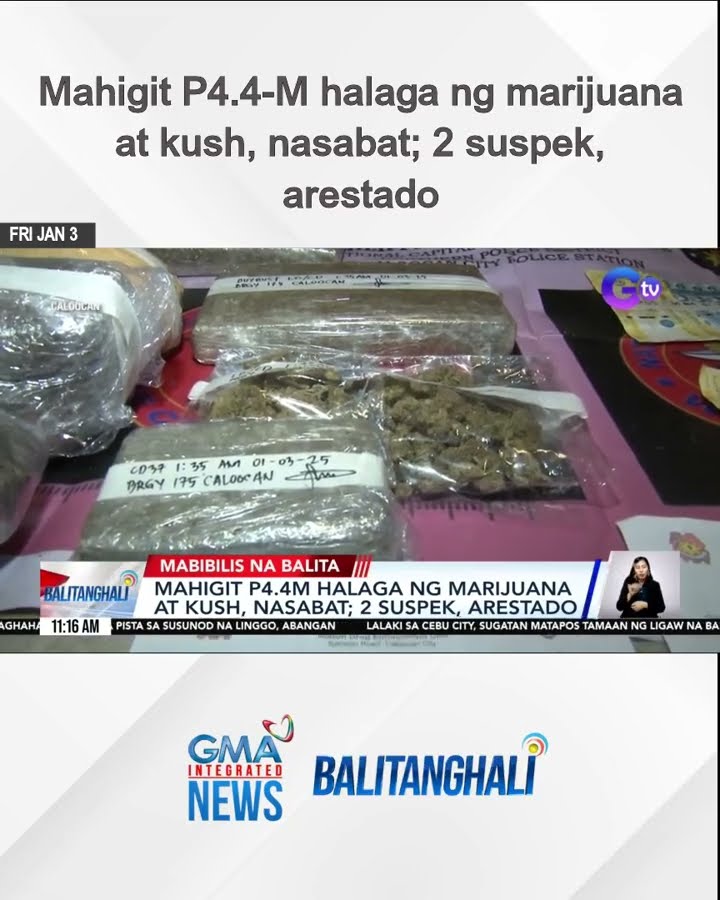 Mahigit P4.4-M halaga ng marijuana at kush, nasabat; 2 suspek, arestado | Balitanghali