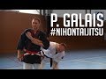 Philippe galais  nihon tai jitsu masterclass 2014