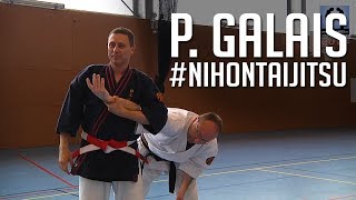 Philippe GALAIS - Nihon Tai Jitsu [masterclass 2014]