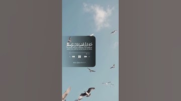 القرآن الكريم 🌙📜 علِمَ أن لَّن تُحصوهُ فَتَابَ عَلَيْكم ۖ فَاقرَءُوا ما تَيَسَّرَ منَ الْقرآنِ ۚ💙✉ 🕊