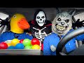 Rubber ducky surprises police wolf  skeleton with car ride chase