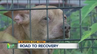 Arrest Made In Wagoner Co. Hoarding Case