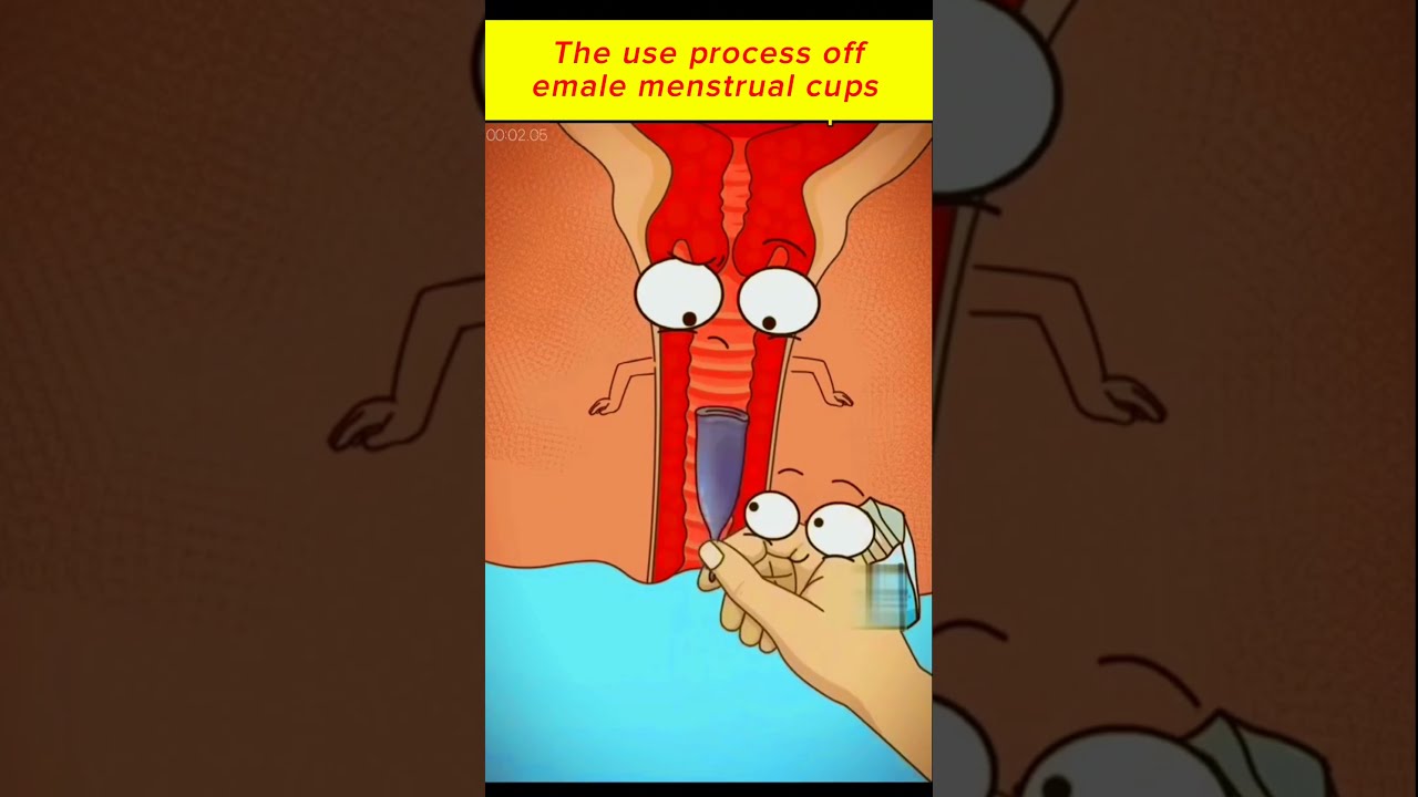 The Use Process Of Female Menstrual Cups Shorts