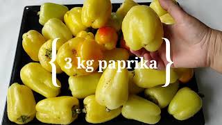 Ovako Godinama Pripremam Barene Paprike Bez Konzervansa Paprika Za Zimu U Tegli