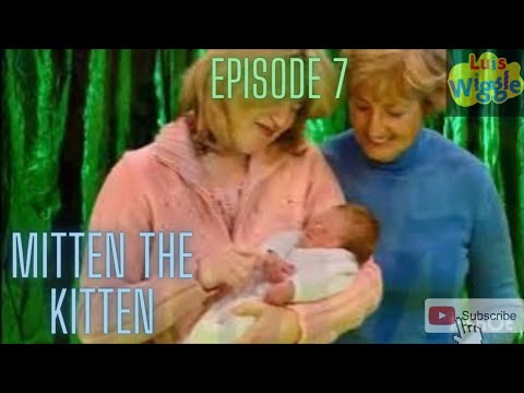 The Latin American Wiggles- Mitten The Kitten (English Translation
