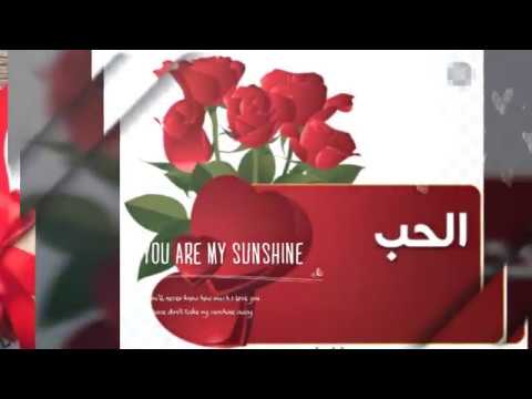 هدية عيد الحب كل عام وانت الحب