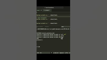 What is a boolean data type in Apex? #coding #salesforce #programming #salesforcedeveloper