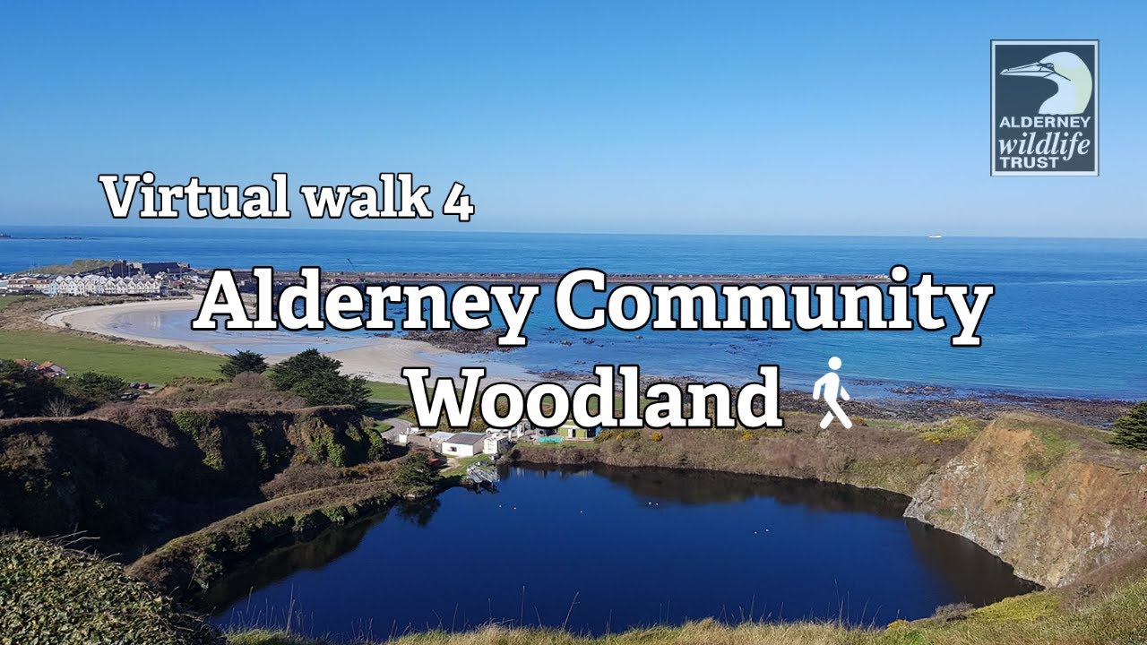 virtual-walk-4-alderney-community-woodland-youtube