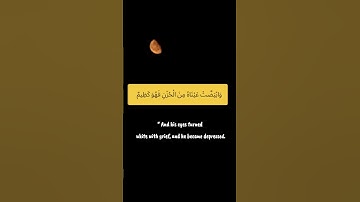 وَابْيَضَّتْ عَيْنَاهُ مِنَ الْحُزْنِ فَهُوَ كَظِيمٌ | سورة يوسف #احمد_النفيس #فلسطين