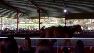 20160320-2 走馬賴