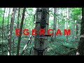 обзор/тест/сравнение фотоловушки EGERCAM