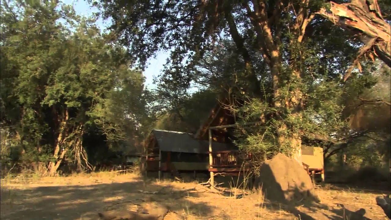 Professional safari guide course - Fascinating Africa