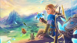 Relaxing The Legend of Zelda Music by Délice Musical 505,584 views 5 years ago 1 hour