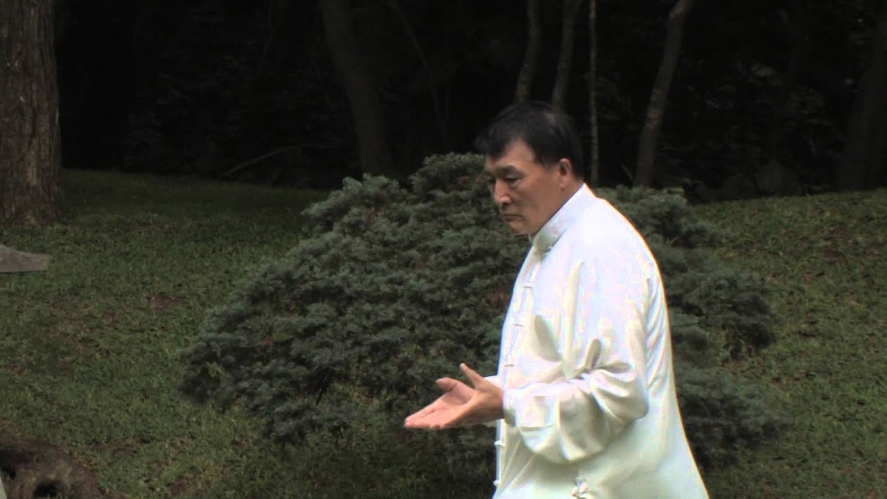 8 Energies Walking with Wang Shangzhi Closeup 11-29-2014